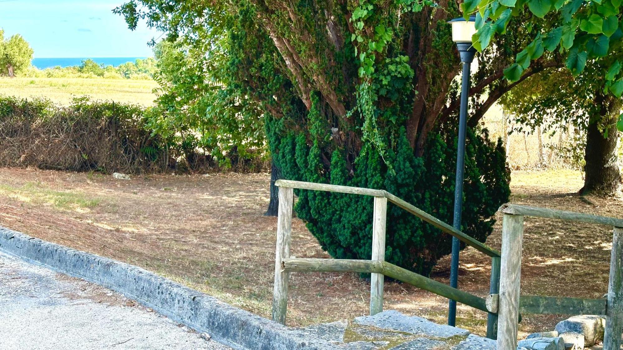 S214 - Sirolo, Trilocale Con Giardino In Zona Tranquilla Apartment ภายนอก รูปภาพ